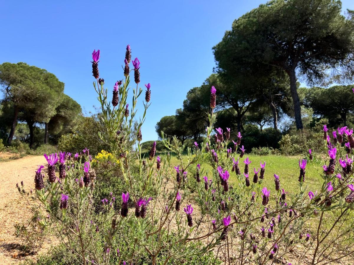 Villa De La Luz El Portil Esterno foto